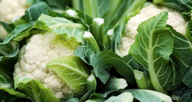 Image of a bunch of cauliflowers.