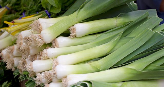 A bunch of leeks stacked up after harvest.