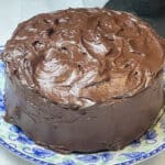 Chocolate cake sitting on blue floral plate