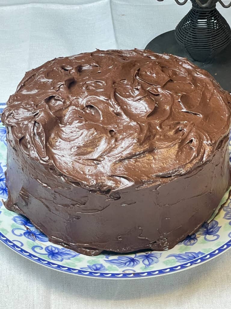 Chocolate cake sitting on blue floral plate