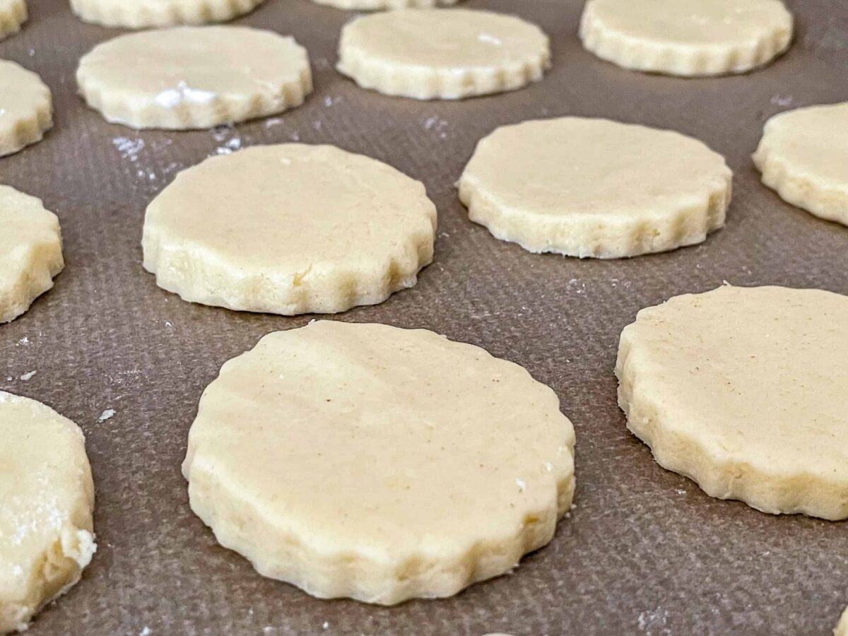 Shortbread dough in rounds on a baking tray.