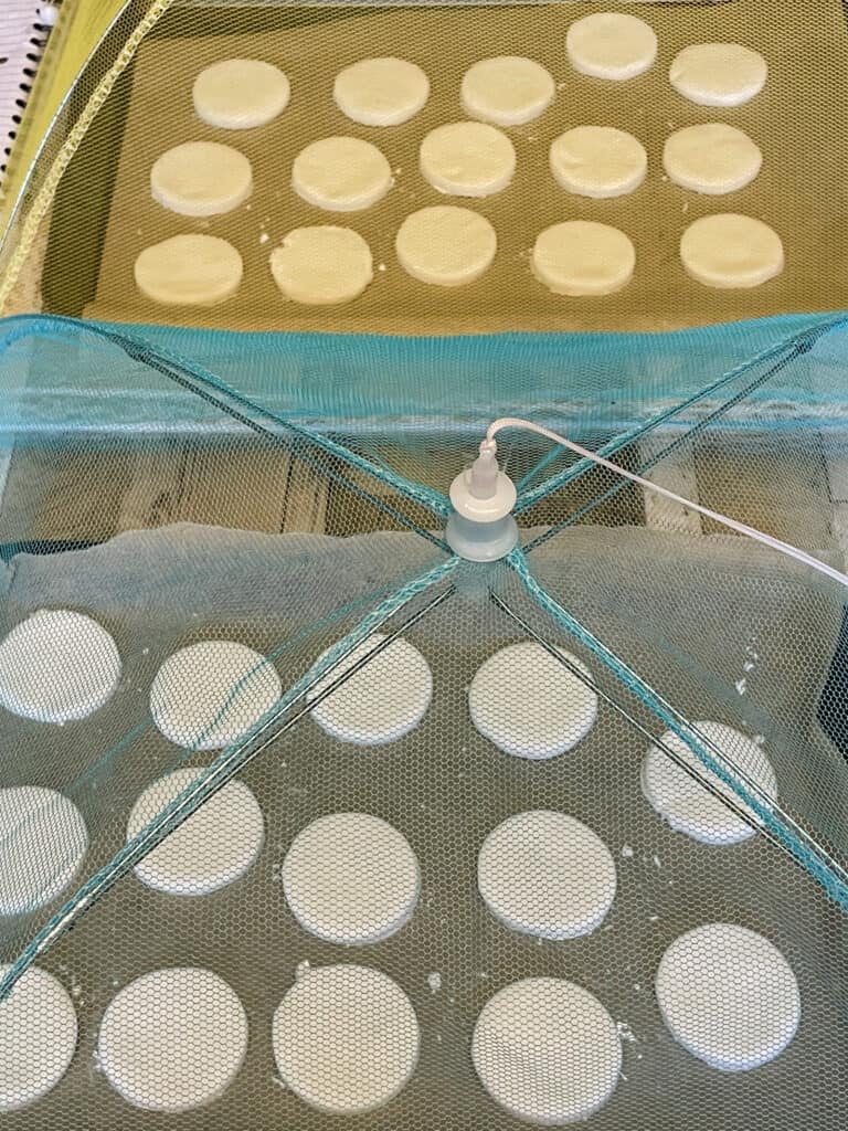 Creams on baking trays with food covering over.