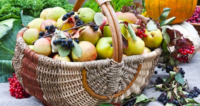 Canva image of a basket filling with fruits.