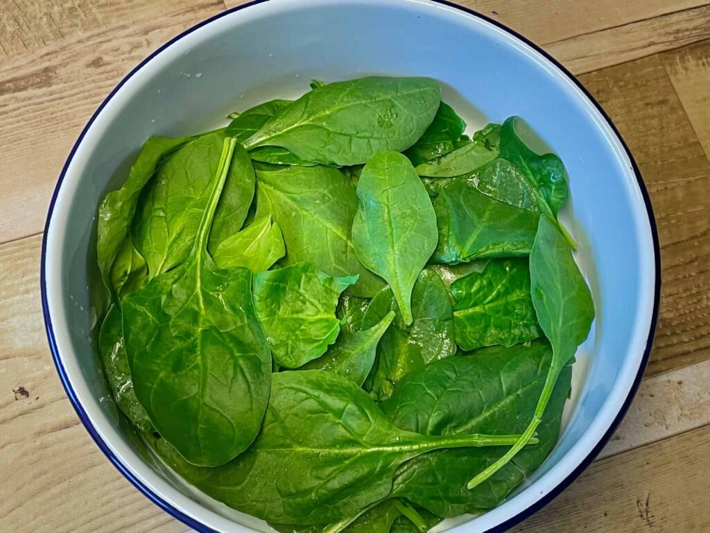 Layer of spinach leaves in white enamel baking pan, wooden table background.
