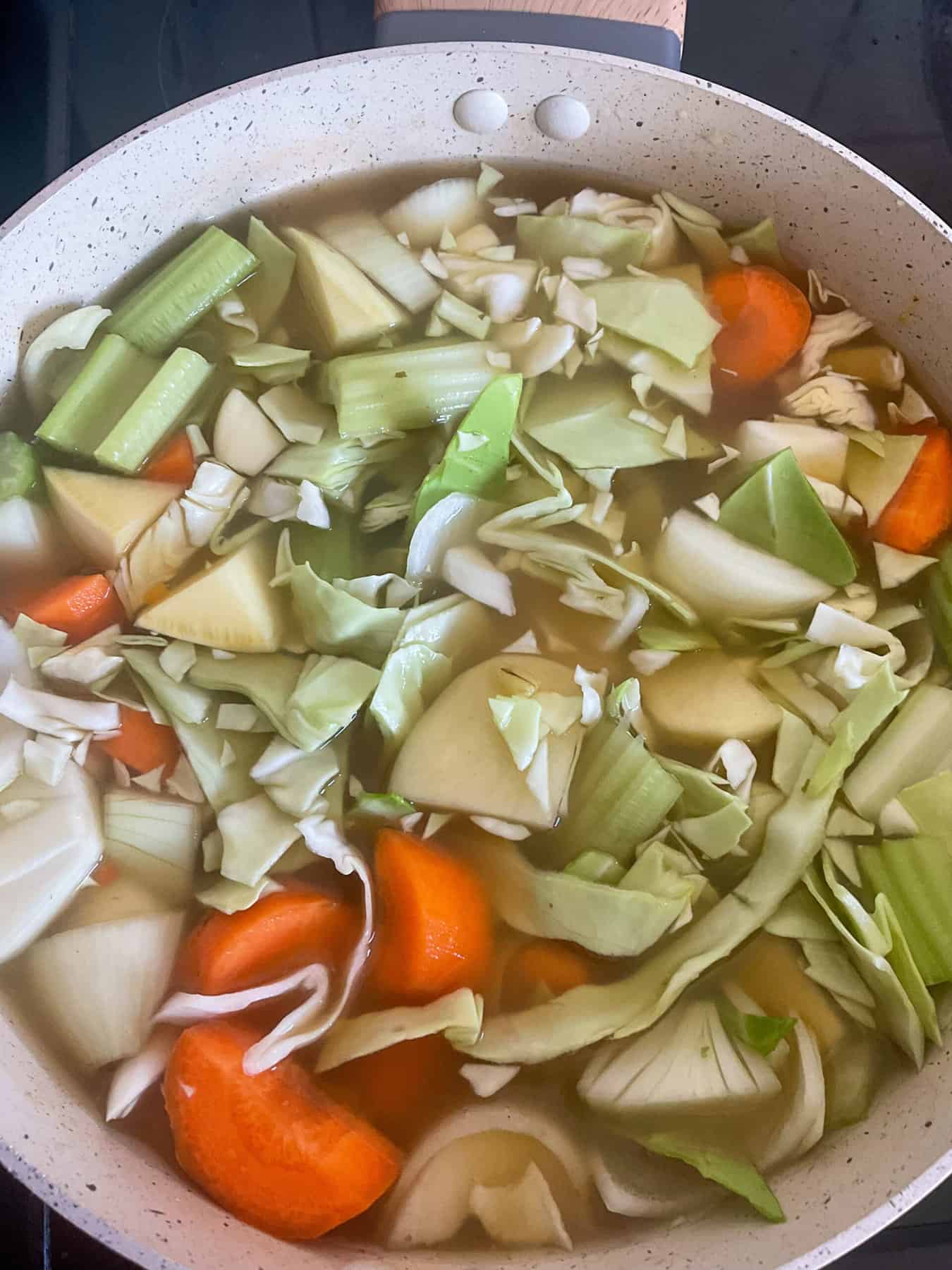 Vegetables in stew pot cooking.