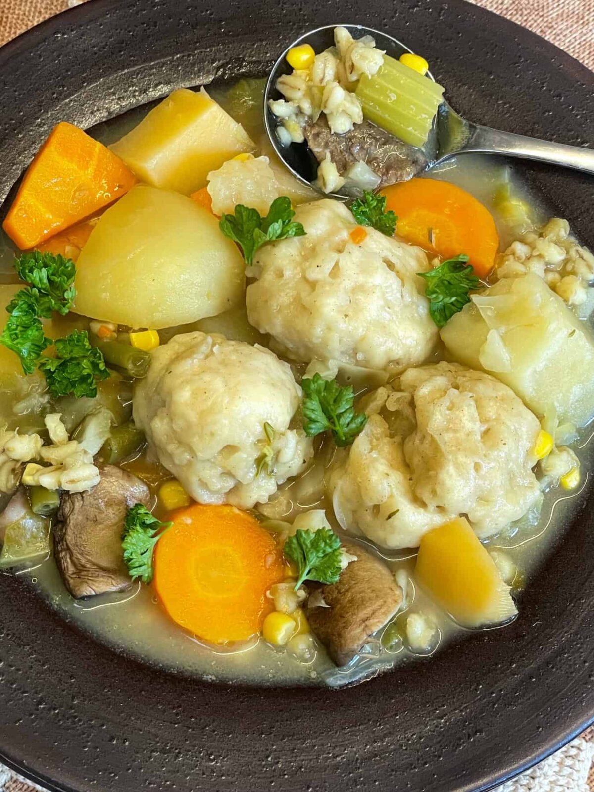 A spoonful of stew and a bowl full of stew and dumplings.