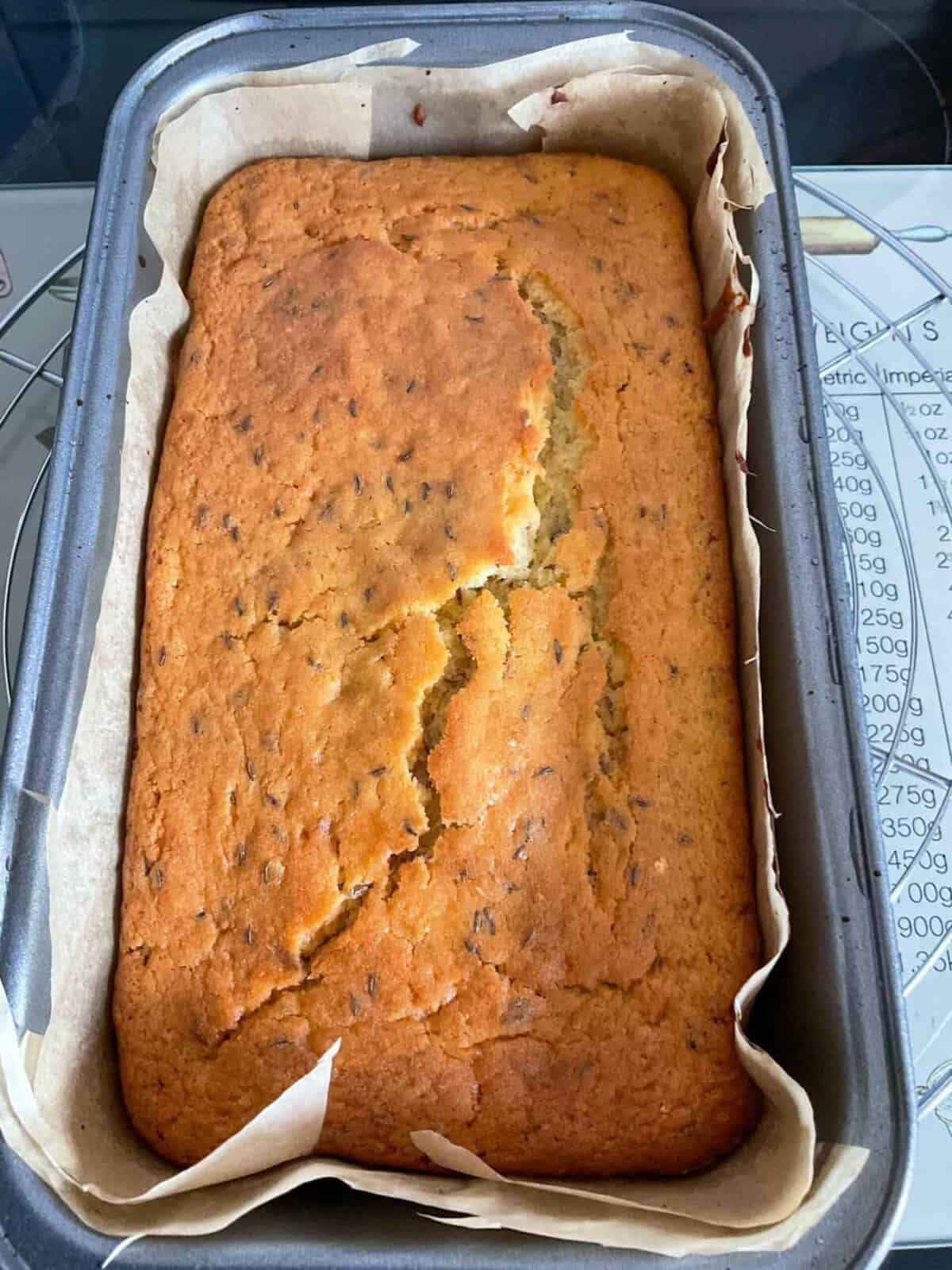 Seed cake baked in pan.