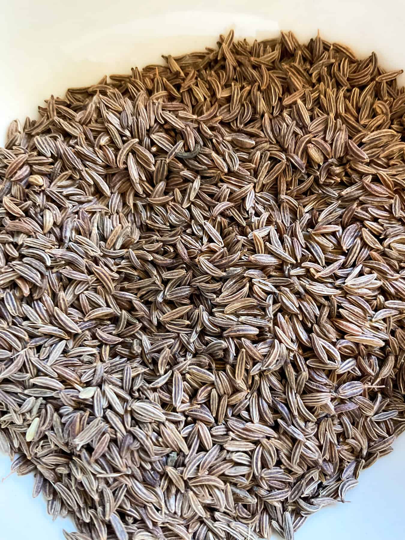 Caraway seeds close up in a small cup.