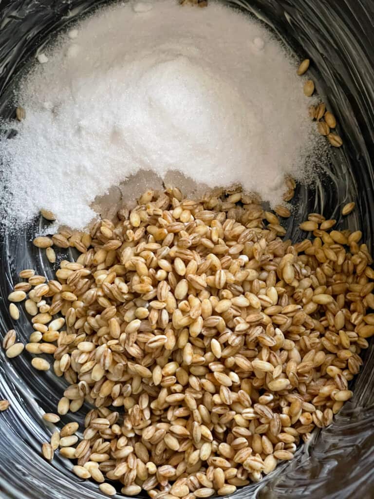 barley and sugar added to a slow cooker pot.
