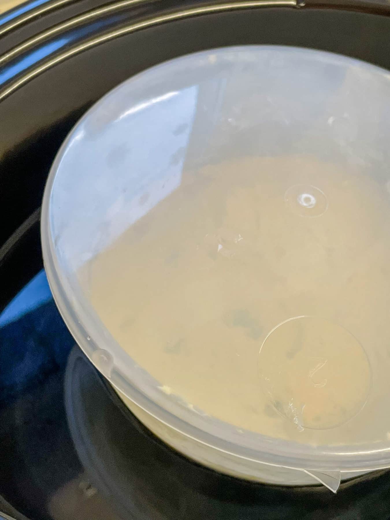 Slow Cooker Steamed Spotted Dick Pudding Traditional PlantBased Cooking