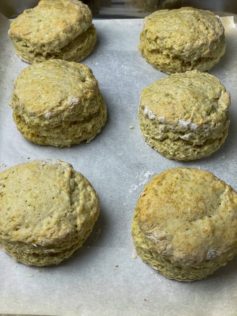 Six baked buttermilk scones on baking tray.