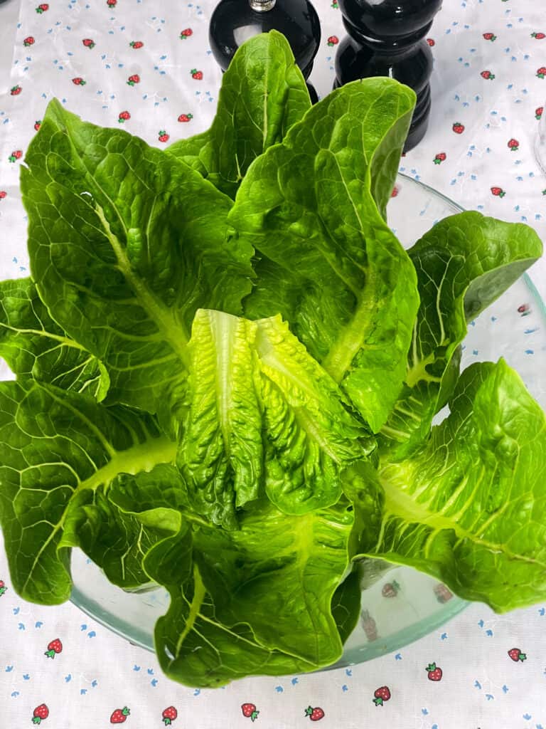 Lettuce leafs lining glass salad bowl, with black salt and pepper shakers to side.