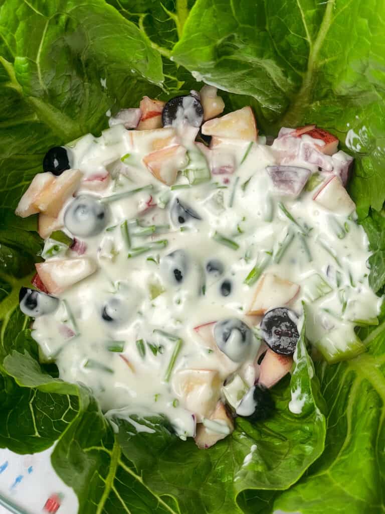 salad dressing covering diced veggies and fruit in bowl.