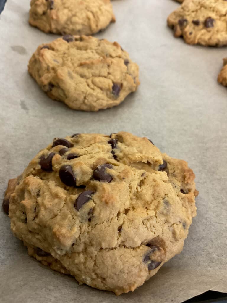 Baked chocolate chip cookies on baking tray.