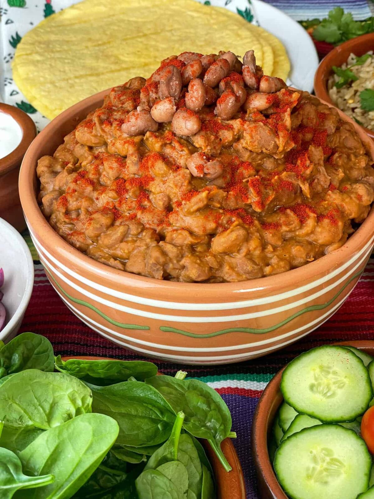 Refried beans served in bowl with paprika sprinkled on top and salad to the side and tortilla wraps.