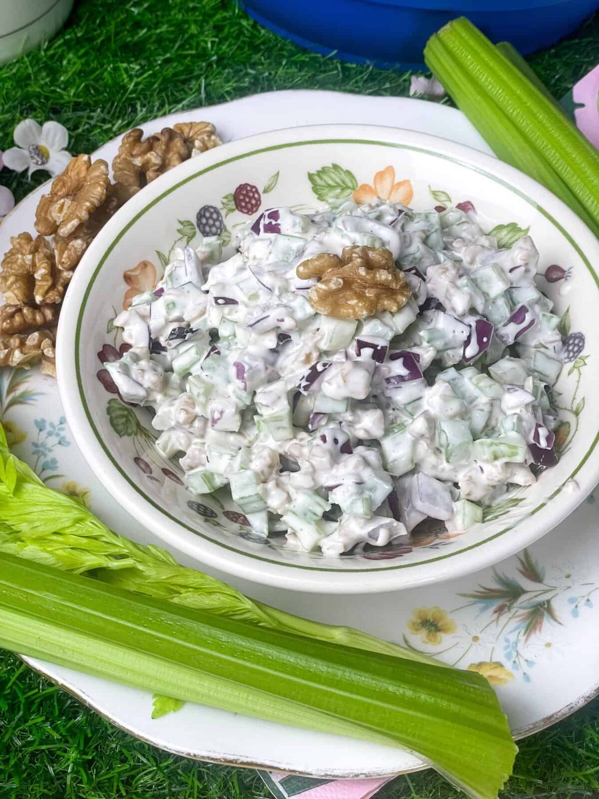 A flower patterned rimmed bowl filled with walnut and celery filling with a walnut on top and to the sides on a flower rimmed plate with sticks of celery, green grass background.