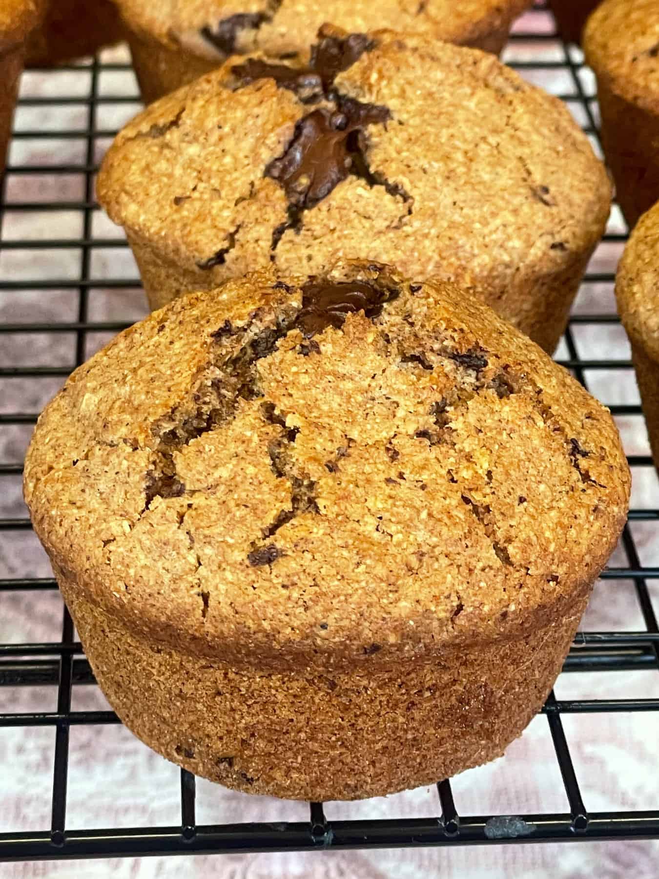 Close up of two chocolate bran muffins on cooling rack.