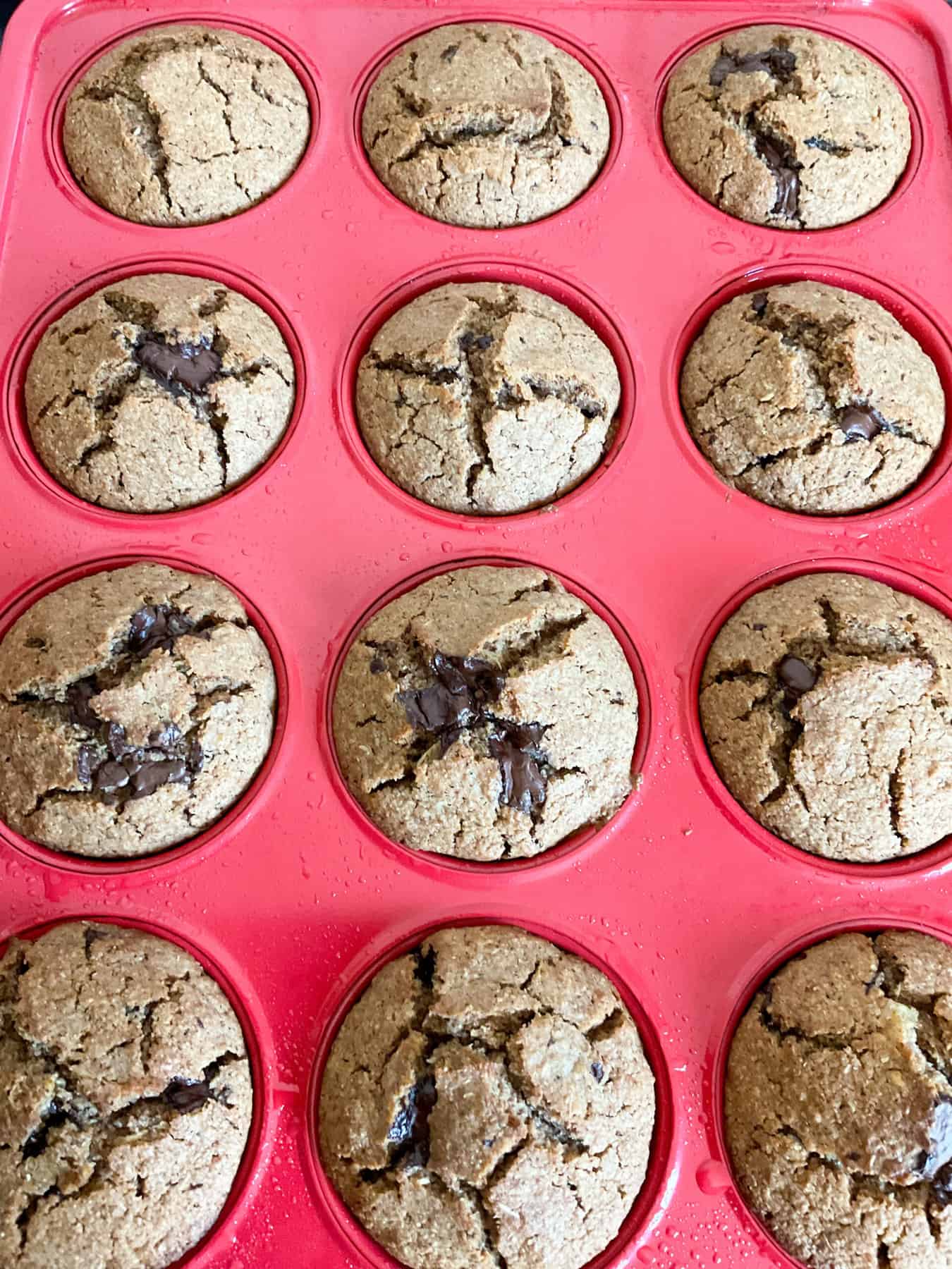 Chocolate chip bran muffins baked in muffin tray.