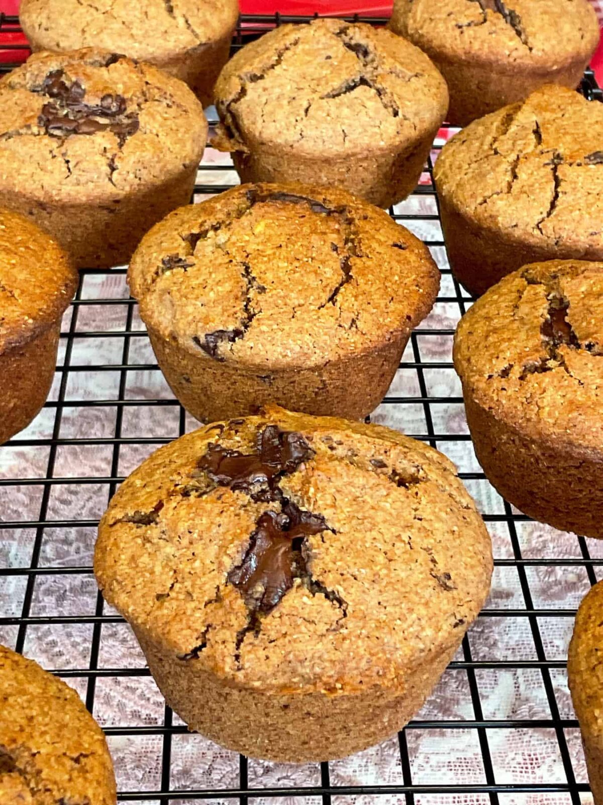 A batch of chocolate chip bran muffins on a wire cooling tray.