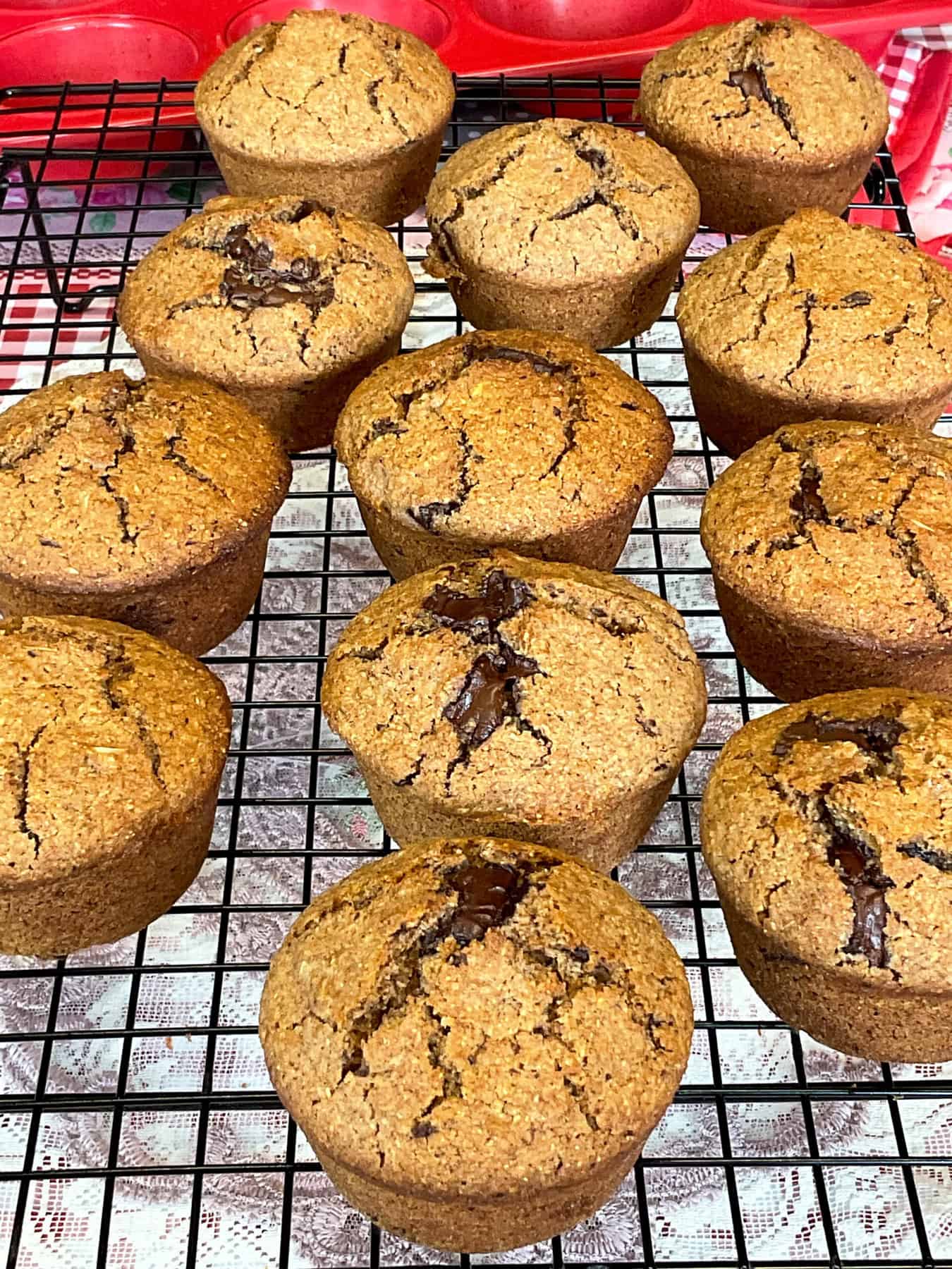 A batch of chocolate chip bran muffins cooling.