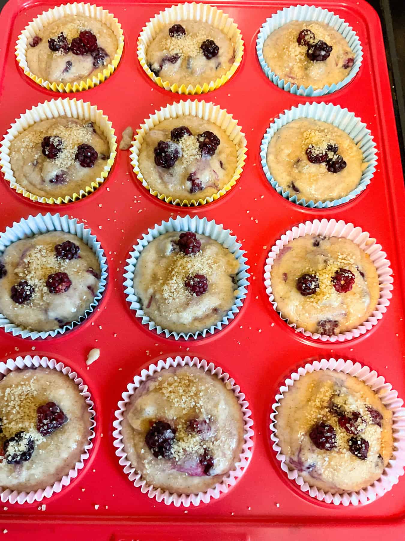 Bramble muffin cups filled with mixture, topped with extra brambles and sprinkled with sugar.