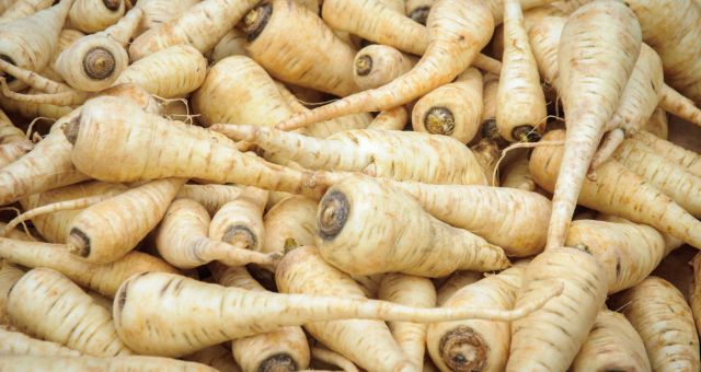 Image of parsnips sourced from Canva Pro.