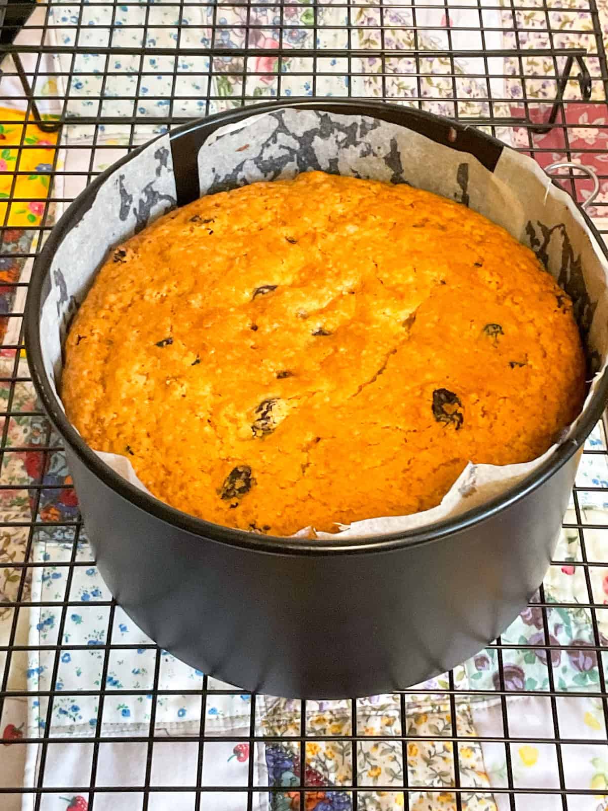 Baked cake in cake pan.